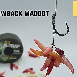 Blowback Maggot Clip Rigs - Korda N Trap