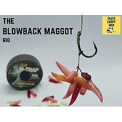 Blowback Maggot Clip Rigs - Korda N Trap