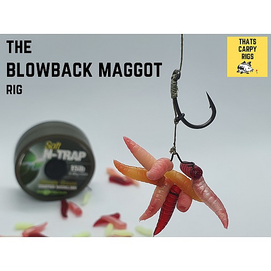 Blowback Maggot Clip Rigs - Korda N Trap Blowback Maggot Clip Rigs - Korda N Trap