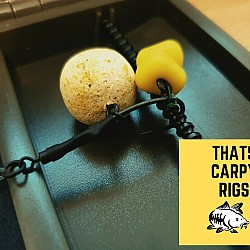 Greedy Pig Ronnie Rigs