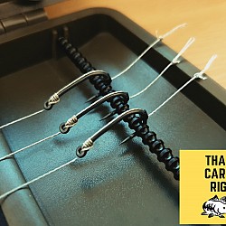 Claw / Parrot / Flipper Rigs - Korda N Trap