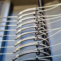 Nash Fang X - Blowback Rigs - Korda N Trap