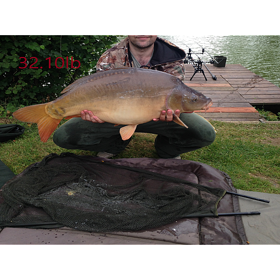 9 Carp Rigs Combo - Ronnie Rigs, D Rigs, Wafter Rigs 9 Carp Rigs Combo - Ronnie Rigs, D Rigs, Wafter Rigs