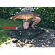 9 Carp Rigs Combo - Ronnie Rigs, D Rigs, Wafter Rigs 9 Carp Rigs Combo - Ronnie Rigs, D Rigs, Wafter Rigs