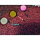 Bloodworm Turbo German Rigs Bloodworm Turbo German Rigs