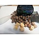 Surface Rigs - Korda Kruiser Control (floating) Surface Rigs - Korda Kruiser Control (floating)