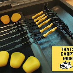 6 x Ronnie Rigs Combo