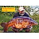"The Lock" Ronnie Rigs - inc. OMC Lock Hooks, OMC Aligners & OMC Hook Beads "The Lock" Ronnie Rigs - inc. OMC Lock Hooks, OMC Aligners & OMC Hook Beads