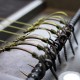 6 D Rigs Combo - Camo Fleck & Camo Green 6 D Rigs Combo - Camo Fleck & Camo Green