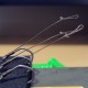 Nash Claw - Catfish Hair Rigs Nash Claw - Catfish Hair Rigs
