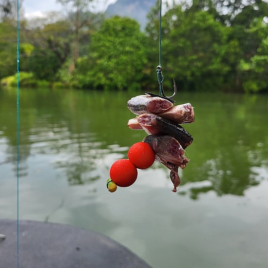 Gillhams - Small and Large Predators Rig (catfish etc) Gillhams - Small and Large Predators Rig (catfish etc)