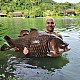 Gillhams - Small and Large Predators Rig (catfish etc) Gillhams - Small and Large Predators Rig (catfish etc)