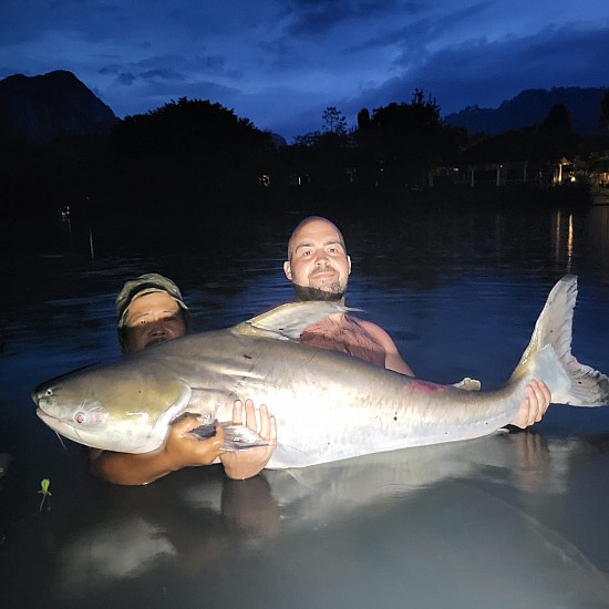 Gillhams - Small and Large Predators Rig (catfish etc) Gillhams - Small and Large Predators Rig (catfish etc)