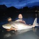 Gillhams - Small and Large Predators Rig (catfish etc) Gillhams - Small and Large Predators Rig (catfish etc)