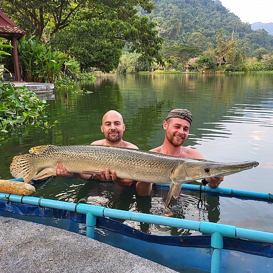 Gillhams - Small and Large Predators Rig (catfish etc) Gillhams - Small and Large Predators Rig (catfish etc)