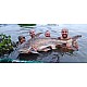 Gillhams - Small and Large Predators Rig (catfish etc) Gillhams - Small and Large Predators Rig (catfish etc)