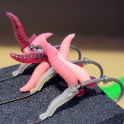 "Enhanced" Maggot Rig - Korda N Trap & Aligner