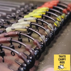 "Enhanced" Ronnie Rigs