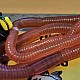 "Enhanced" Worm Rig - N Trap, Boom, Amnesia etc "Enhanced" Worm Rig - N Trap, Boom, Amnesia etc