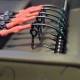 Bloodworm Ronnie Rigs Bloodworm Ronnie Rigs