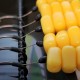 Sweetcorn / Maize Stack - Blowback Rigs - Korda N Trap Sweetcorn / Maize Stack - Blowback Rigs - Korda N Trap