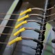 Sweetcorn / Maize Stack - Blowback Rigs - Korda N Trap Sweetcorn / Maize Stack - Blowback Rigs - Korda N Trap